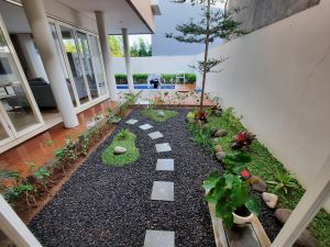 Dry Garden